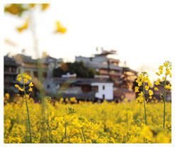 Lijiang